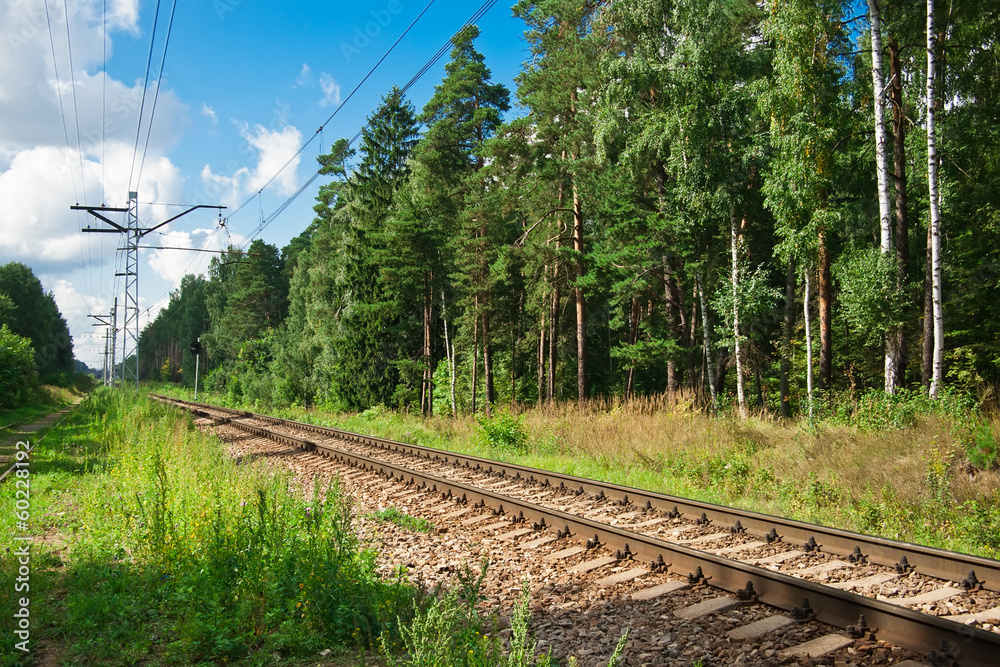 Fototapeta premium Railroad