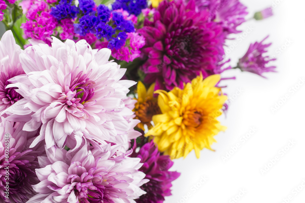 カラフルな菊とハナハマサジの花々 カラフルな菊とハナハマサジの花々