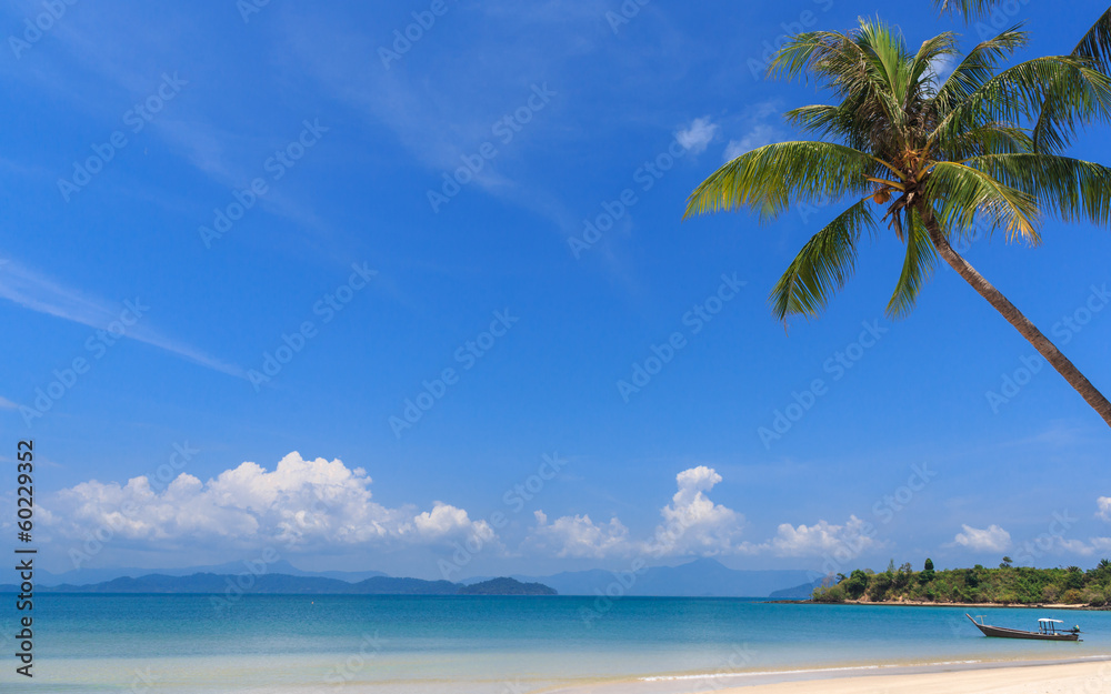 Fototapeta premium White sand beach at tropical island