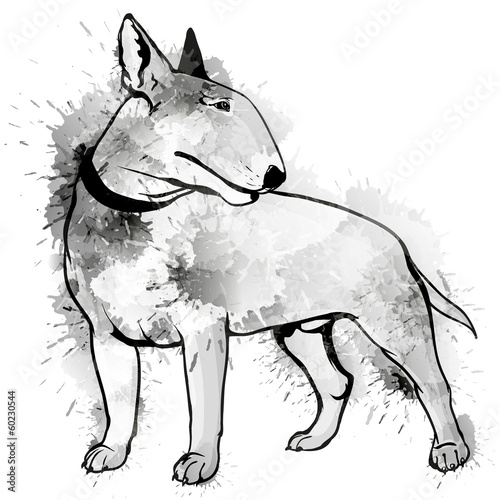 Bull terrier grunge illustration