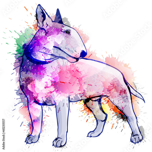 Bull terrier grunge illustration