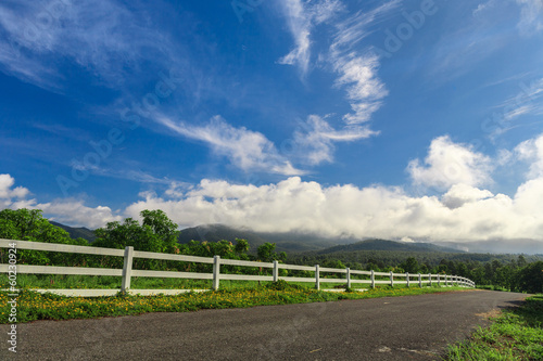 Beautiful countryside road under blue sky © aiaikawa