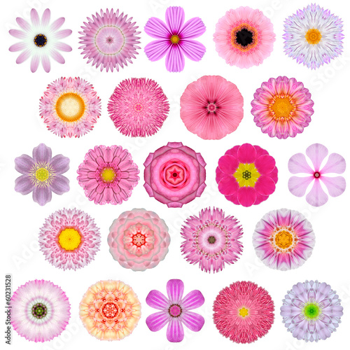 Huge Selection of Various Concentric Mandala Flowers Isolated
