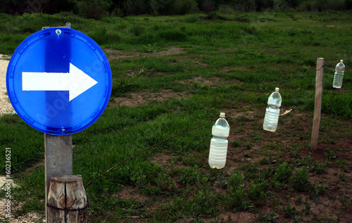 Traffic sign on the meadow, obligatory direction