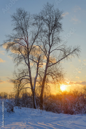 Beautiful winter landscape © love1990