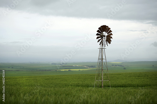 windmill in field