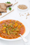 Spicy tomato soup with green lentils and vegetables