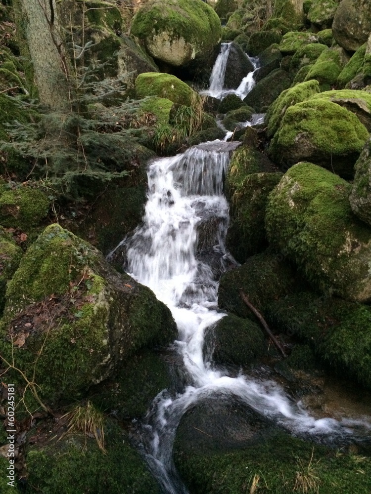 Fototapeta premium Quellwasser