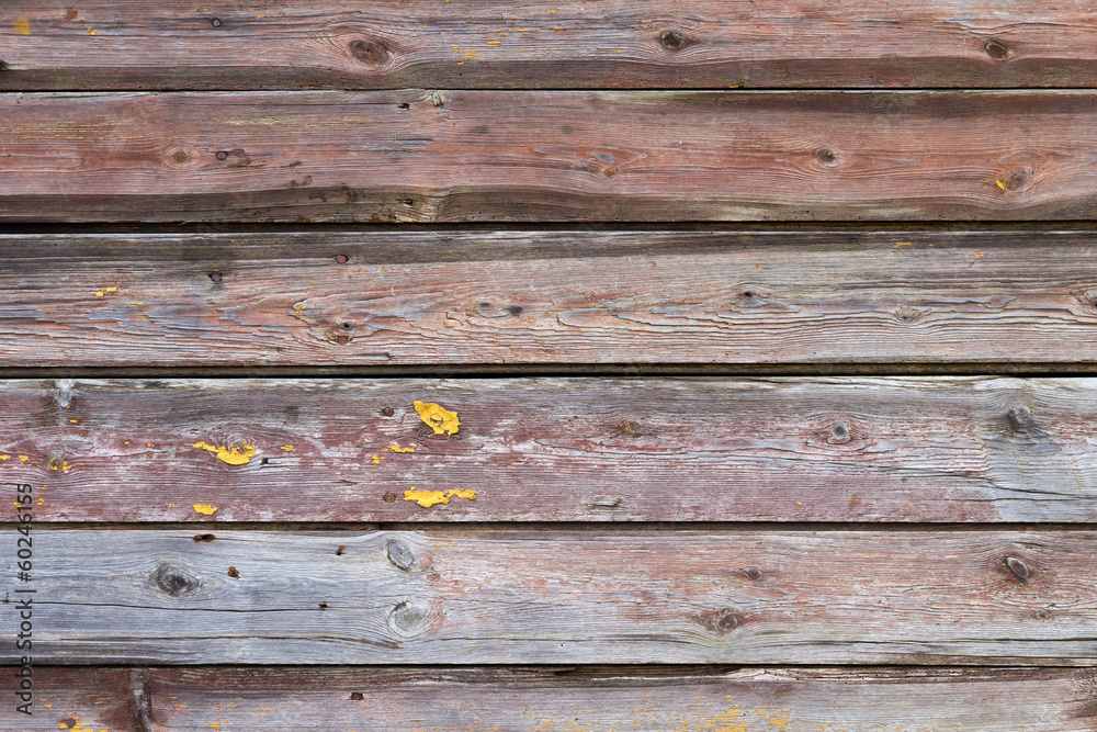 Obraz premium Wood wall texture for background usage