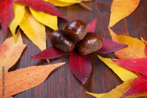 chestnuts photo