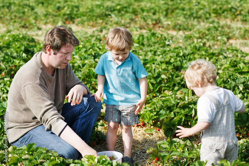 Wallpaper Mural Family of three: father and twins boys on organic strawberry far Torontodigital.ca