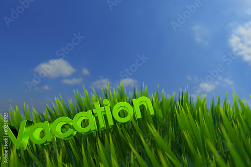 Vacation on green grass