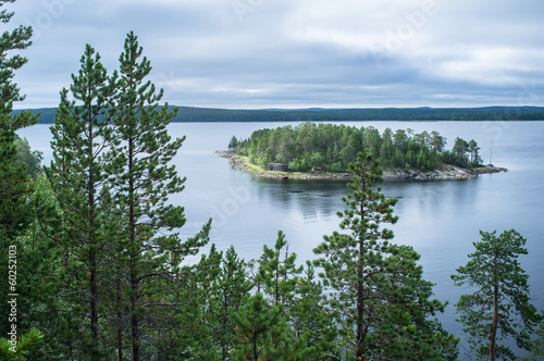 View of the island from the cliff through the pines