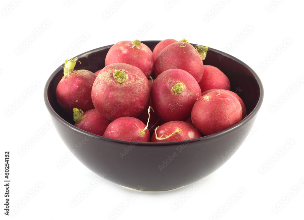 Many red radishes in purple bowl closeup isolated on white