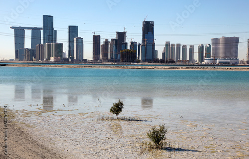 Abu Dhabi from Saadiyat Island, United Arab Emirates photo
