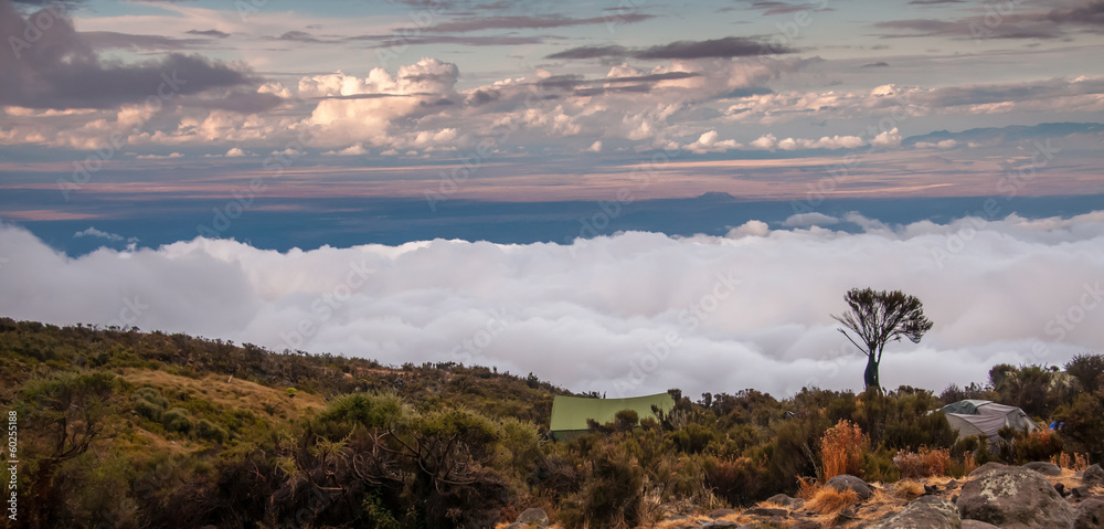 Kilimanjaro Camp Site at Dawn