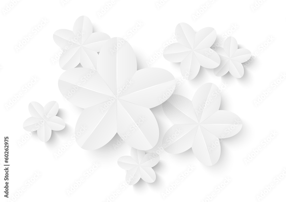 White paper flowers for Your design White paper flowers for Your design