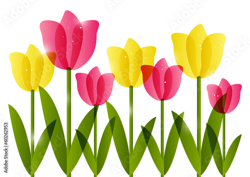 Pink and yellow  tulips border for Your design