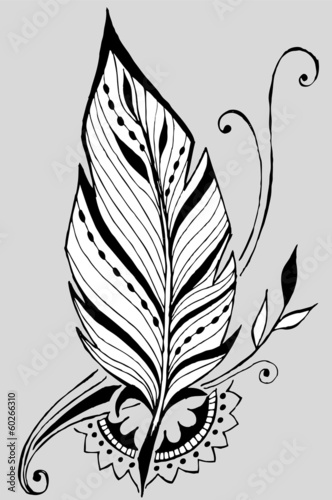 A beautiful feather with patterns