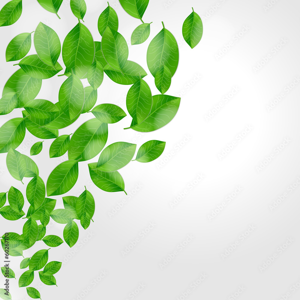 Background with fresh green leaves