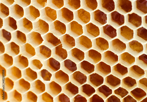 Beer honey in honeycombs