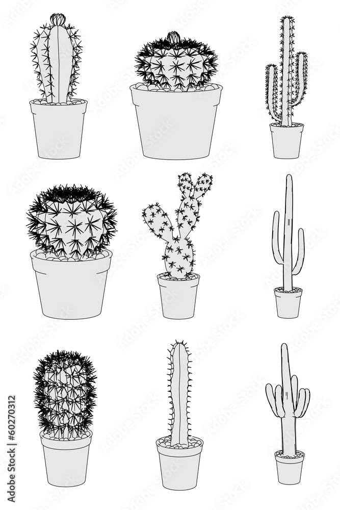cartoon image of cactus flowers cartoon image of cactus flowers