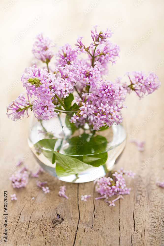 lilac flowers in vase lilac flowers in vase