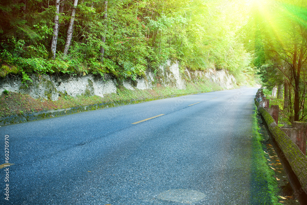 Obraz premium Asphalt road through the forest