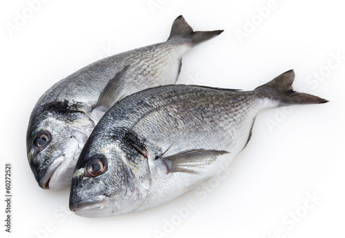 Fish dorado isolated on white background with clipping path