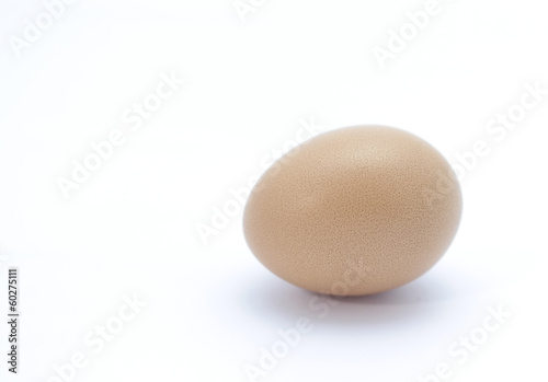 Egg