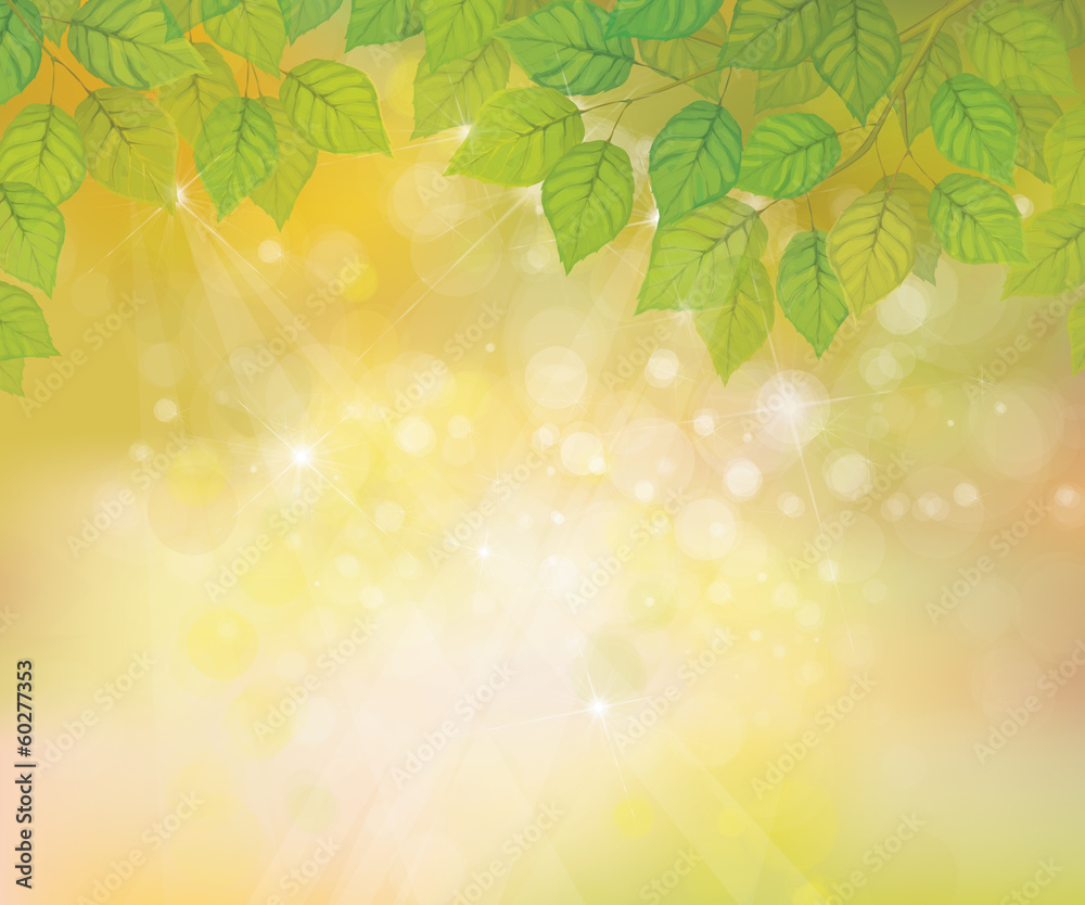 Fototapeta premium Vector green leaves on sunshine background.