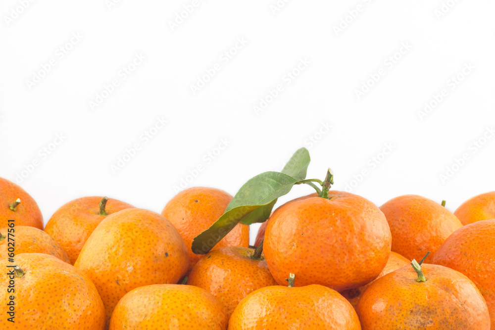 Orange fresh for do orange juice Orange fresh for do orange juice