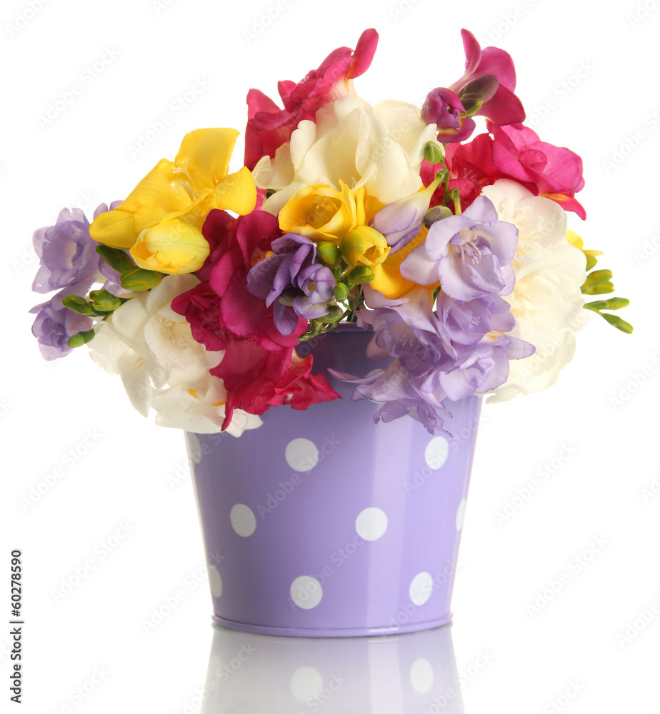 Beautiful bouquet of freesias in pail, isolated on white