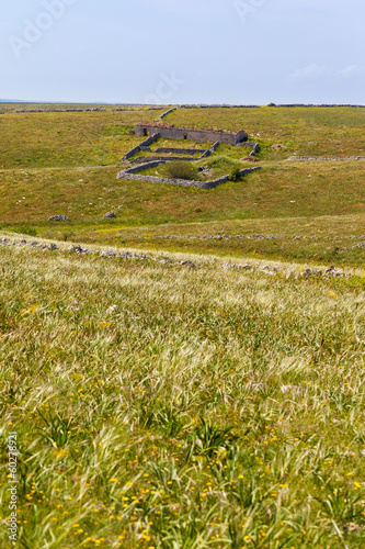 Sheepfold photo