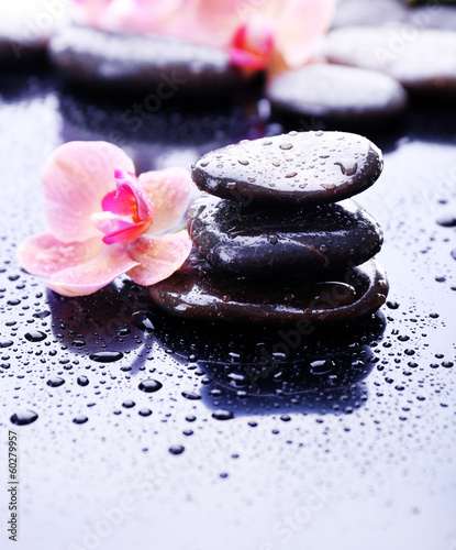 Fototapeta Naklejka Na Ścianę i Meble -  Composition with beautiful blooming orchid with water drops and