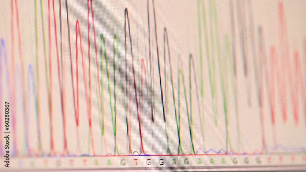 genetic chromatogram on a computer screen