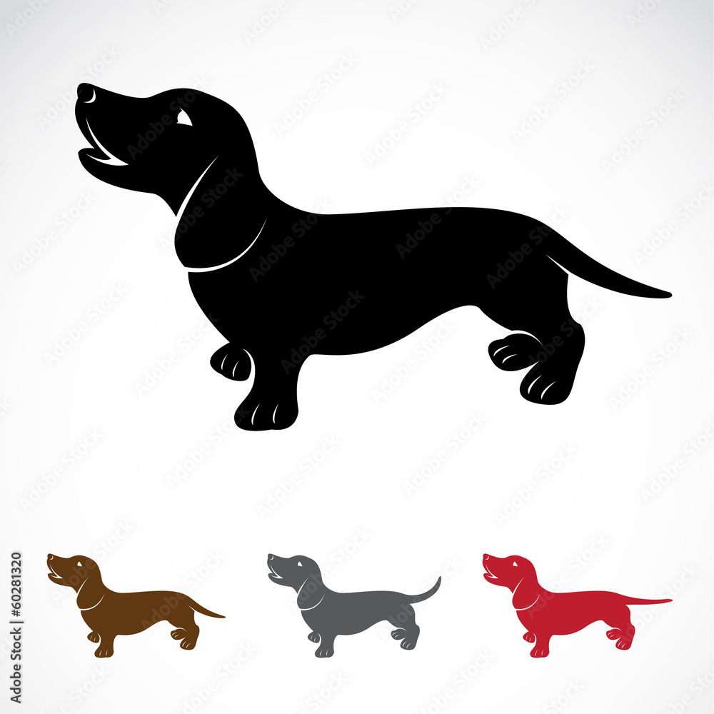 Vector image of an dog (Dachshund)