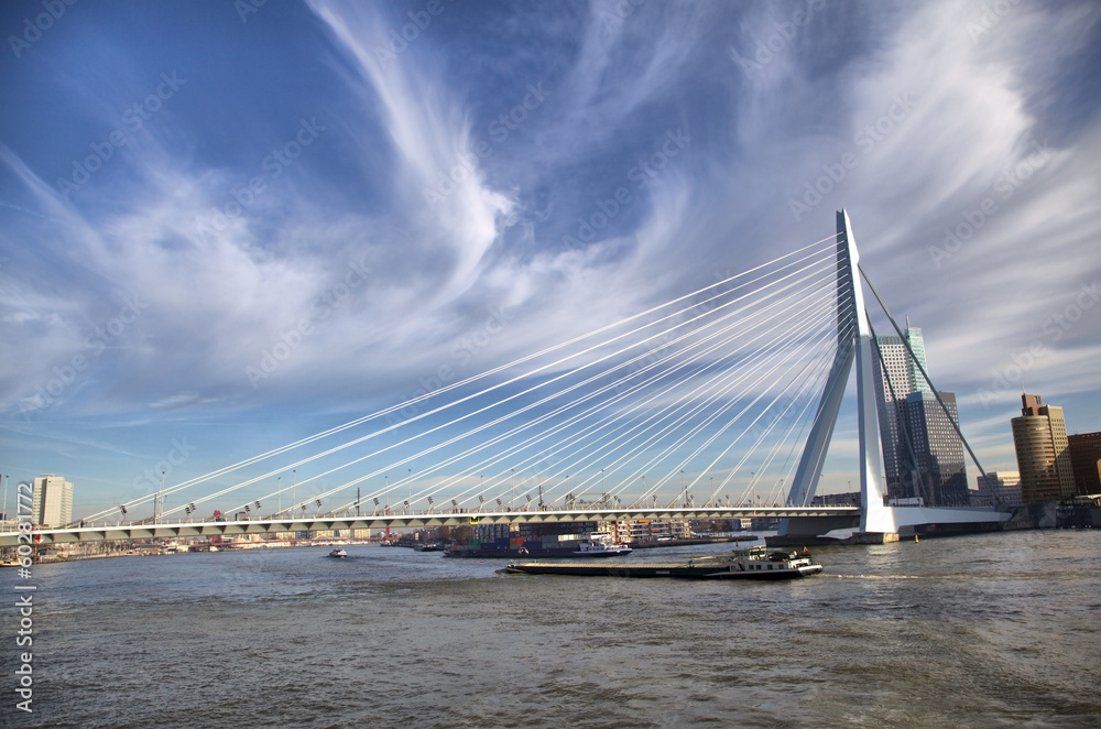 Erasmus Bridge in Rotterdam on the Nieuve-Maas River, Rotterdam, Netherlands Erasmus Bridge in Rotterdam on the Nieuve-Maas River, Rotterdam, Netherlands