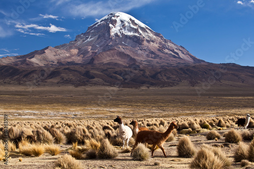 Bolivia - Sajama Volcano