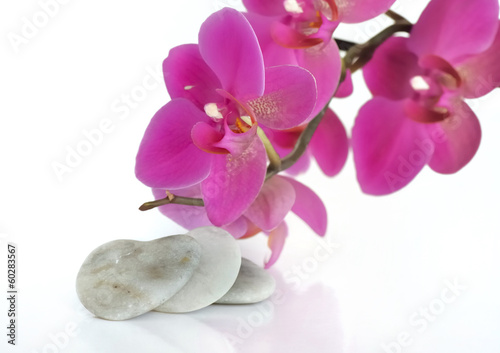 cœur en pierre et orchidée