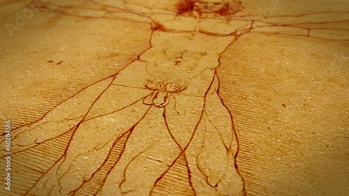 Dolly shot of Leonardo da Vinci Vitruvian Man drawing
