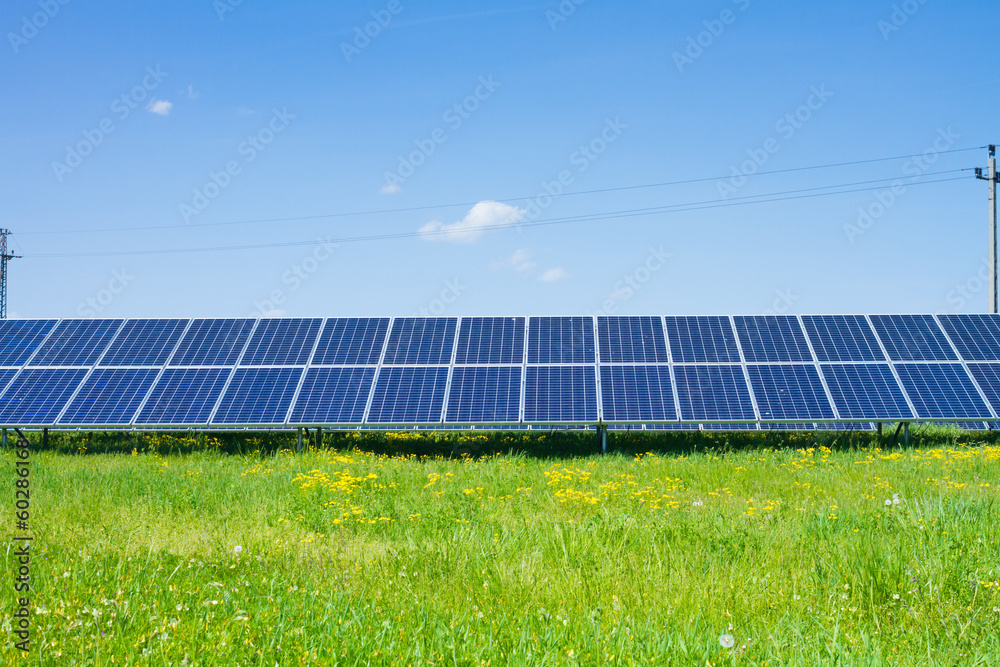 solar panels on green grass with blue sky solar panels on green grass with blue sky