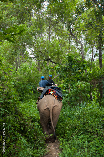 Tourists riding elephant trough jungle in Kanchanaburi, Thailand