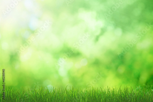 Summer field