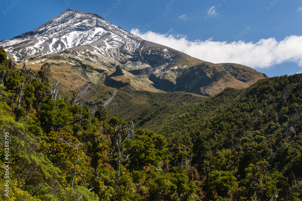 Fototapeta premium zalesione zbocza góry Taranaki