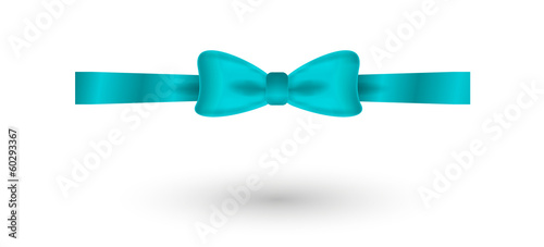 blue elegant bow