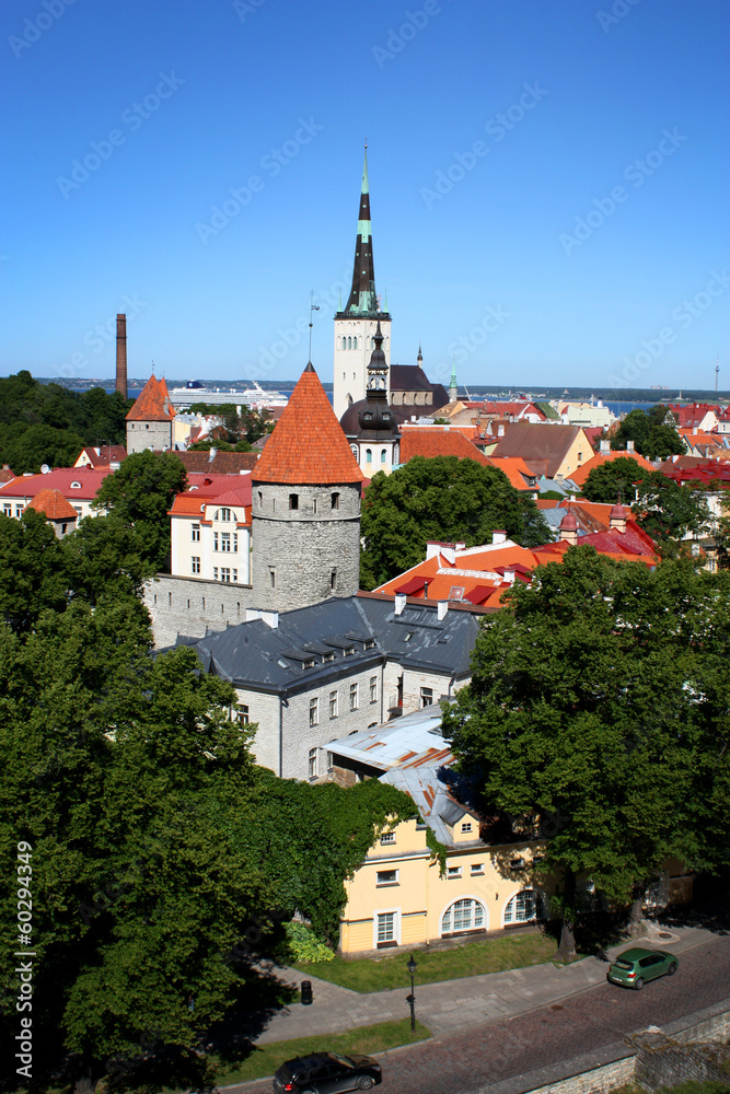 Tallinn's Old Town in the summer