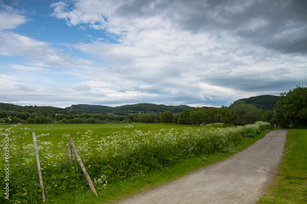 Grassland and road near Bodo, Norway