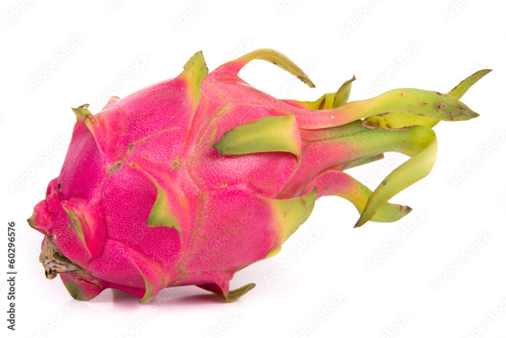 pink pitahaya dragon fruit pink pitahaya dragon fruit