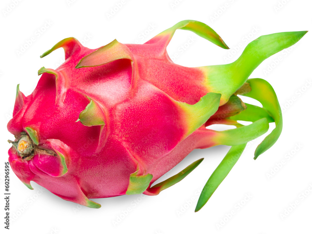 Pitahaya, dragon fruit Pitahaya, dragon fruit